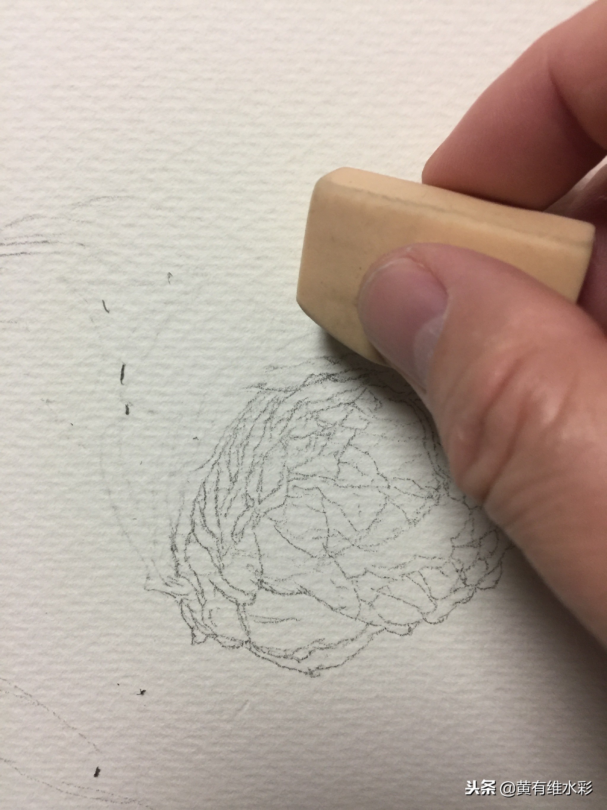 水彩教程简单好看手绘图片,水彩教程画花