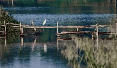 彭山五湖四海最新规划,彭山区五湖四海建设得非常漂亮