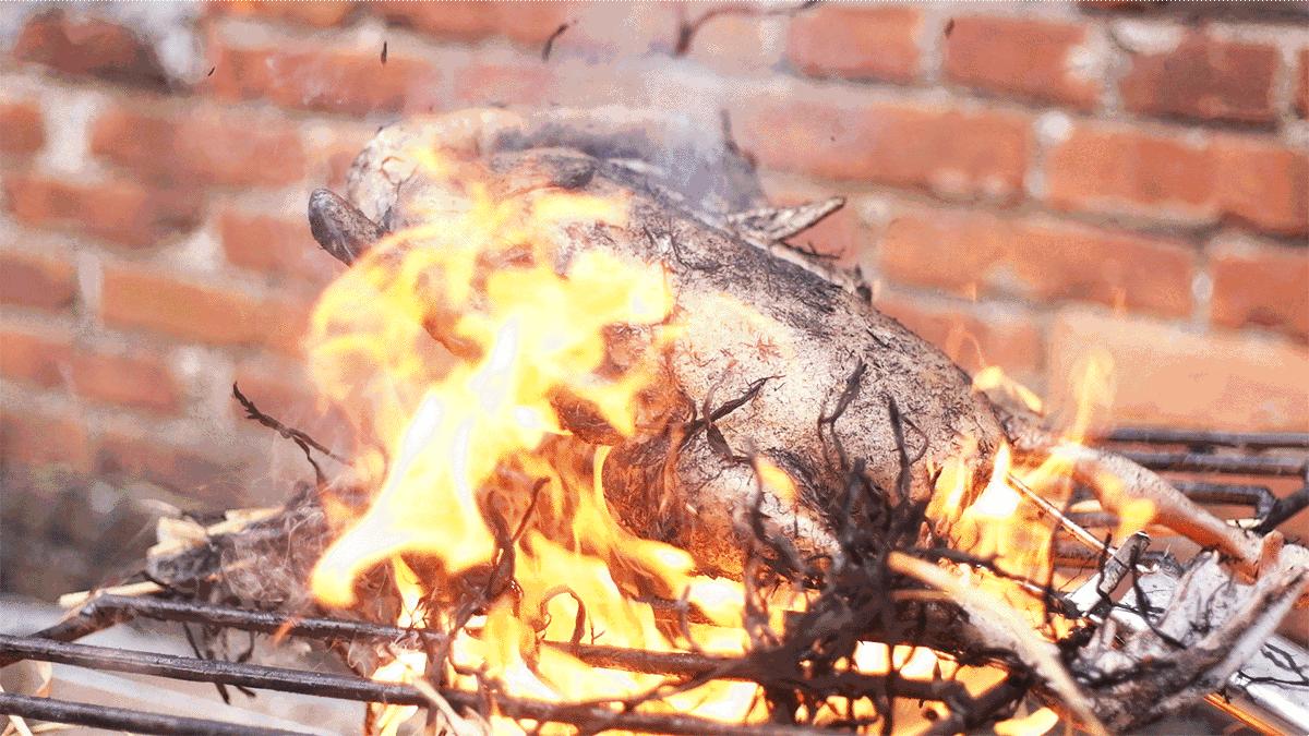 南海有家,南海食鹅哪家好