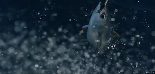 萌娃日常视频剪辑教程技巧,公司年会视频剪辑技巧和思路