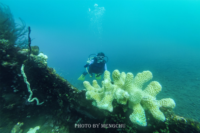 世界上最美的潜水胜地,巴厘岛的图兰奔!二战沉船遗址等你探索