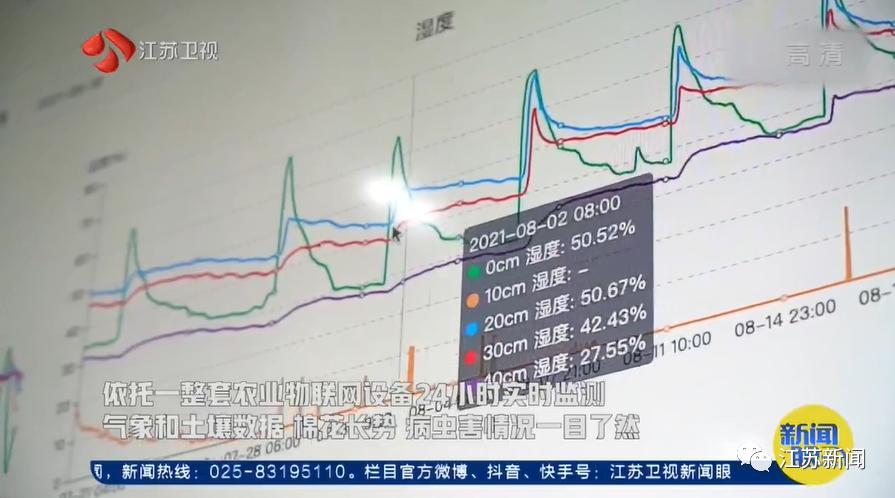 棉田种植方式,两个人挑战3000亩新疆棉田