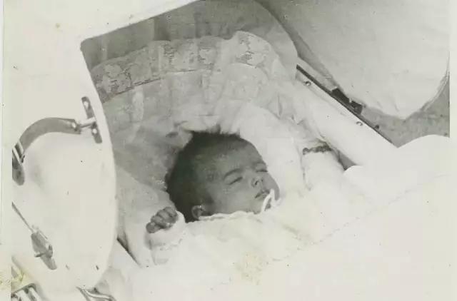 100张惊人奇怪照片,100张绝对惊人的照片