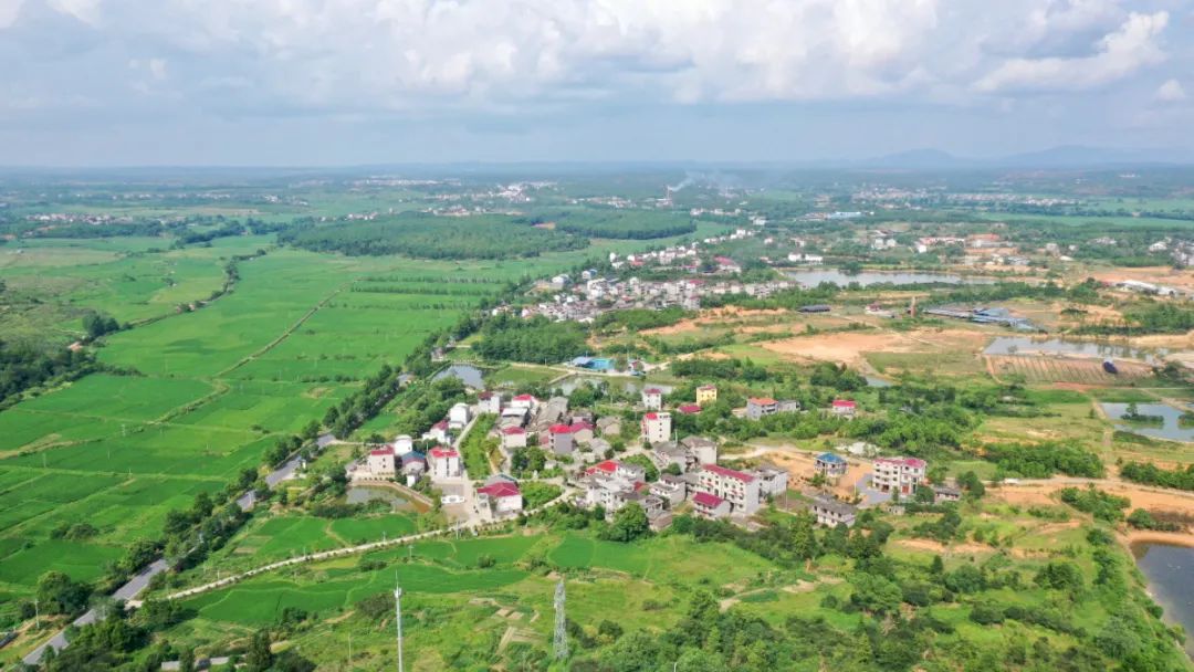 宅改基本情况,宅改项目怎么做