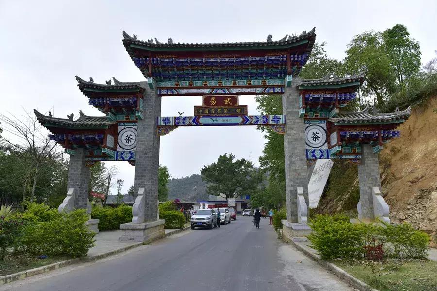 谁才是真正的皇家贡茶,皇家贡茶有多厉害