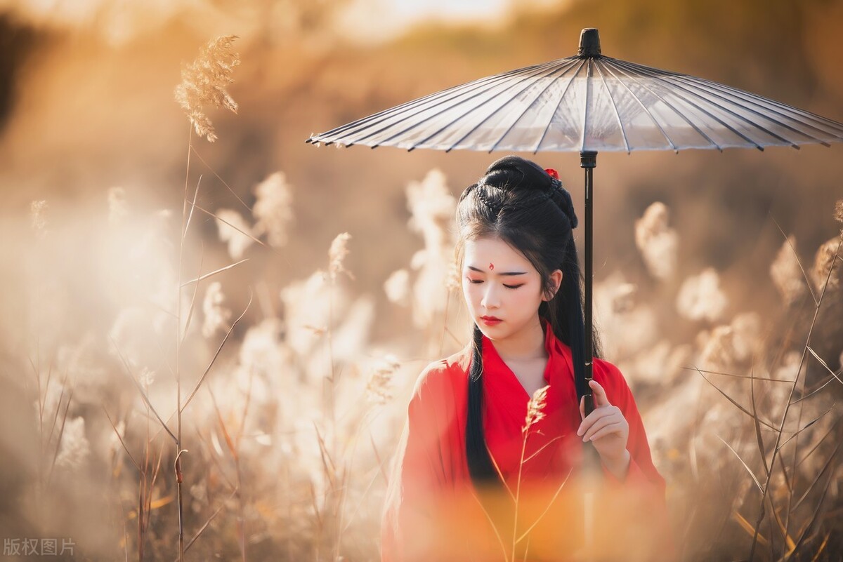 鏁呬簨濂规槸鐩稿簻鍗冮噾,鏁呬簨渚簻瀚″コ