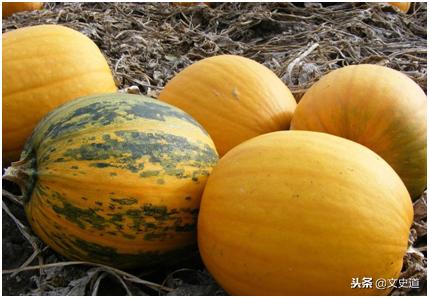 山水田园十首经典诗词,回乡开荒种地过田园生活的诗句