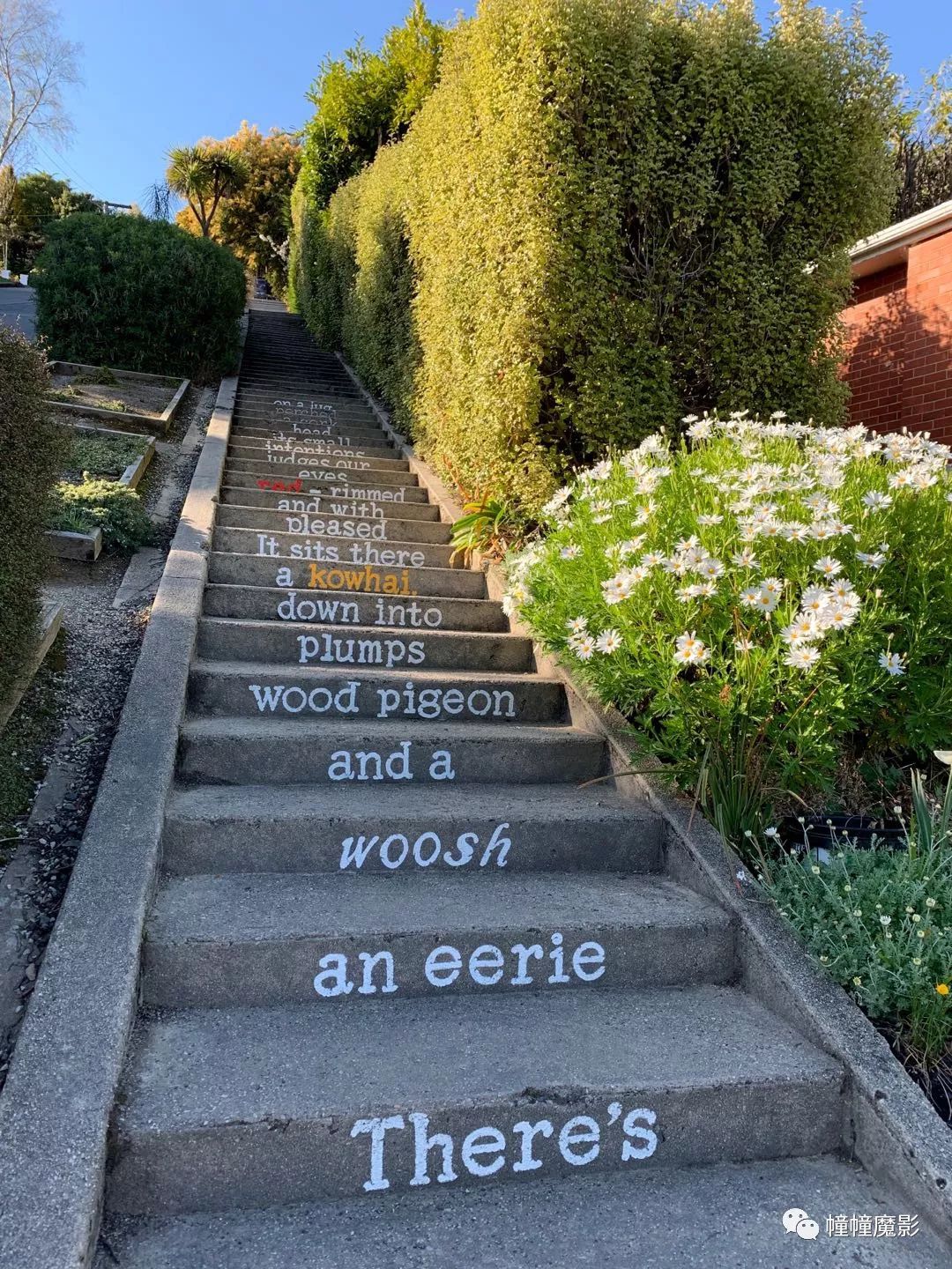 新西兰见闻录100,新西兰生活见闻