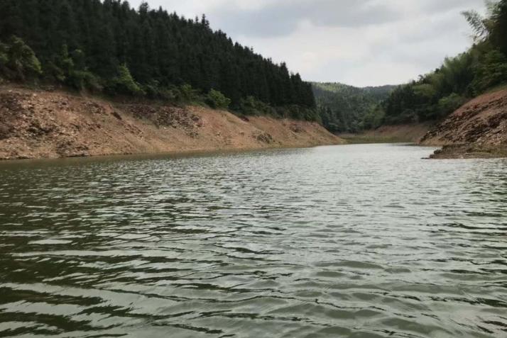 鱼塘养鱼的正确养殖方法有哪些,承包水库养鱼经济效益怎么样