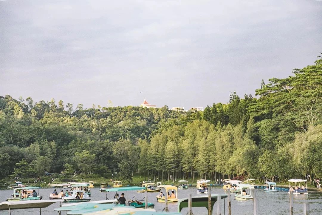 2021深圳免费适合遛娃玩地方排名,深圳免费游玩景点推荐