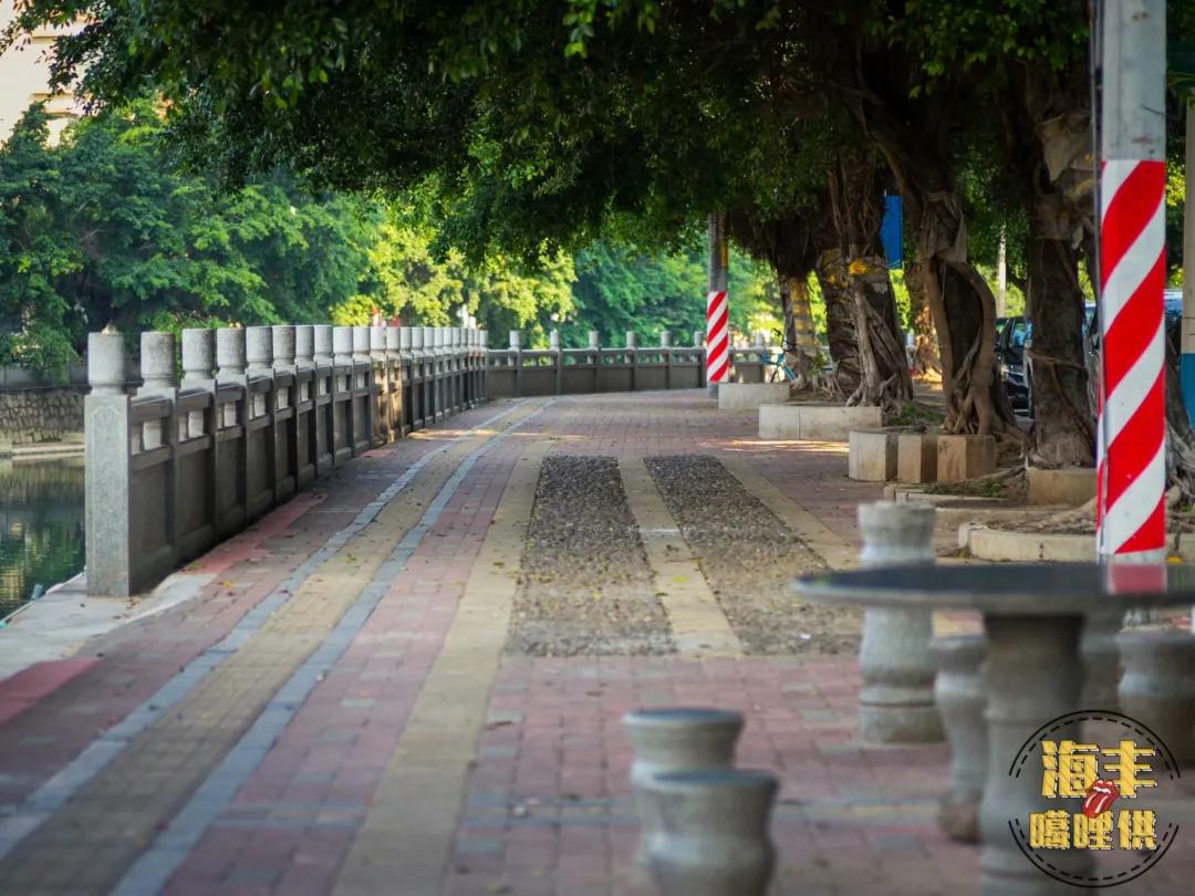 海丰一条母亲河在哪里,一条母亲河