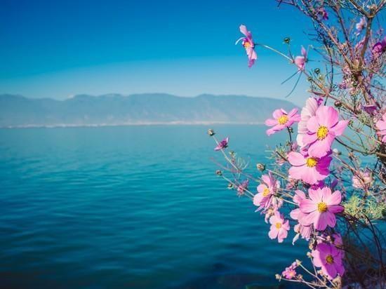 期货投资的三个经验,期货交易十大秘诀技巧图解