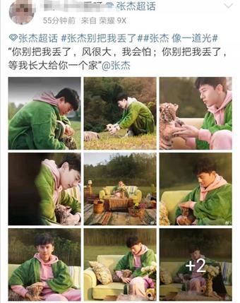 张杰是个怎样的歌手,张杰歌手偶像