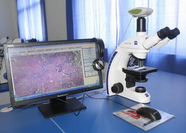 医学类最吃香的三个专业,哪些医学类专业本科毕业生薪资高