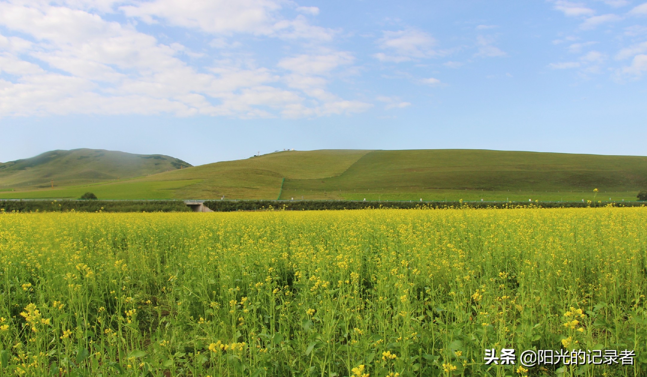 丰宁坝上草原哪几个免费景点必去,丰宁坝上景点冬天推荐