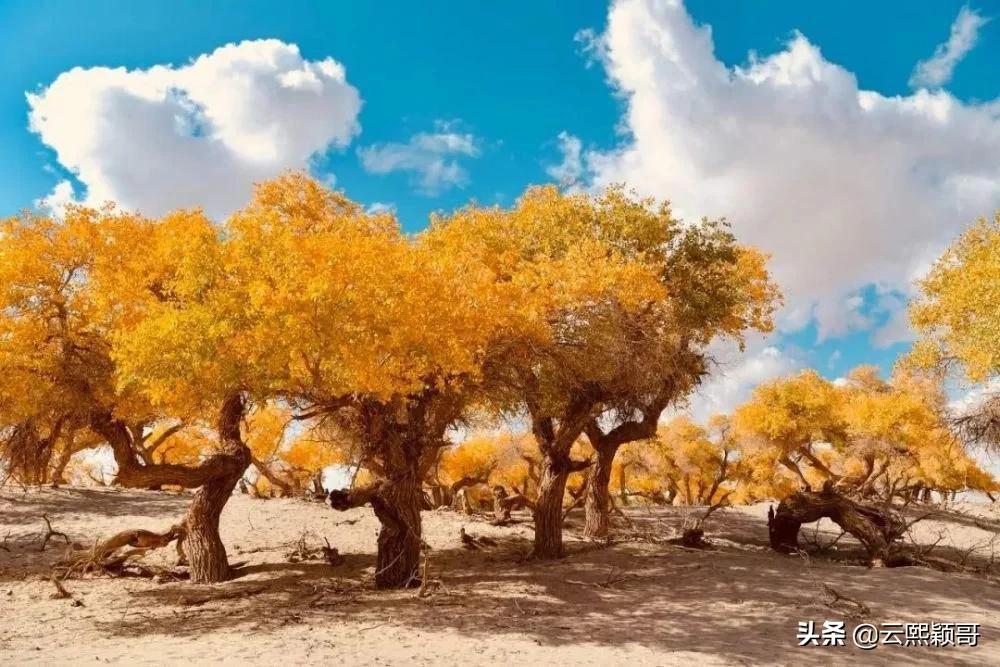 60岁前要去的100个地方,60岁以前必去的100个地方