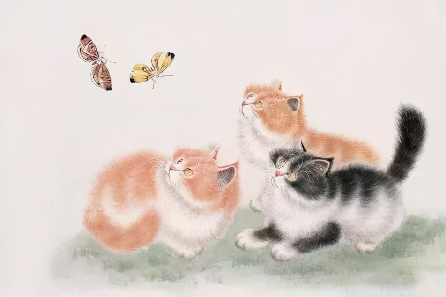 猫咪面相,猫咪面相测试