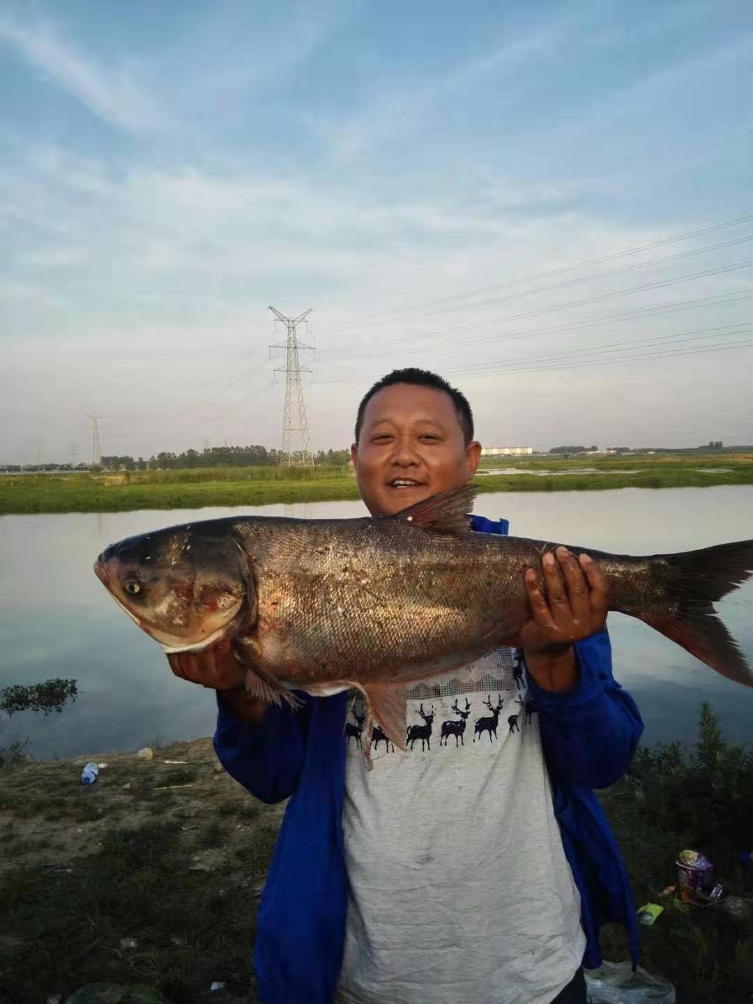 钓鲢鳙灯笼漂调漂详细教程,钓鲢鳙的调漂正确方法与步骤图解