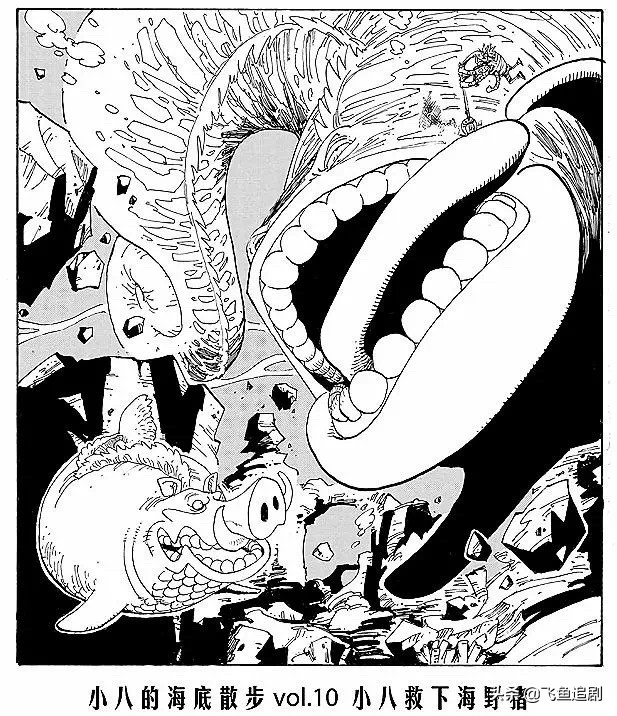 海贼王小八的海底漫步,海贼王里小八的海贼团图标