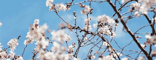 30岁女生适合的气质手镯,20多岁3000至5000元翡翠手镯推荐