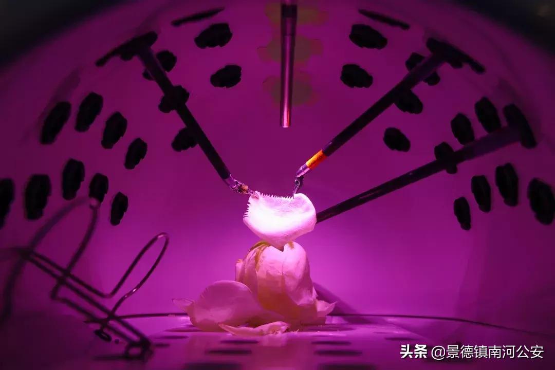 新华社年度照片,这就是中国的2018