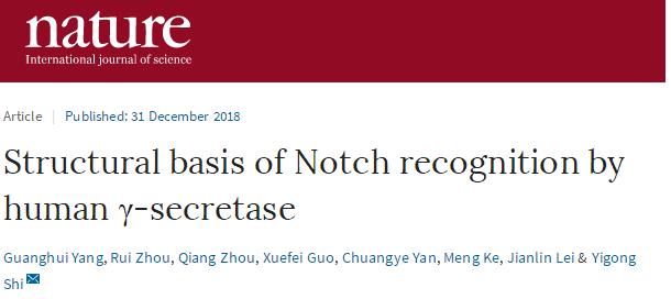 施一公与徒弟颜宁,施一公徒弟颜宁