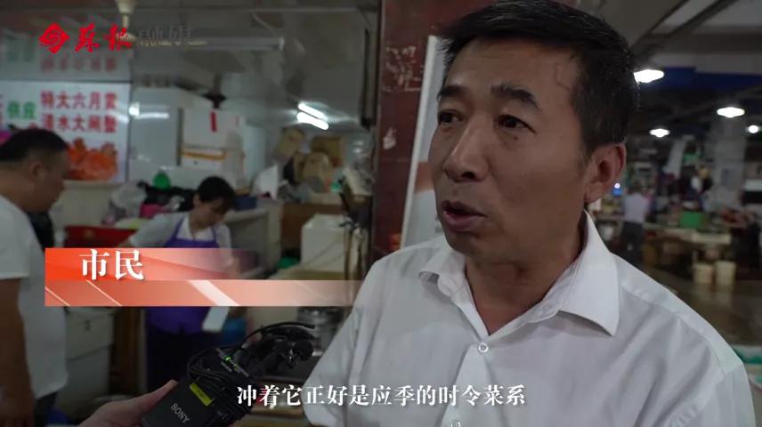 苏州春天第一鲜上市,苏州6月份美食推荐