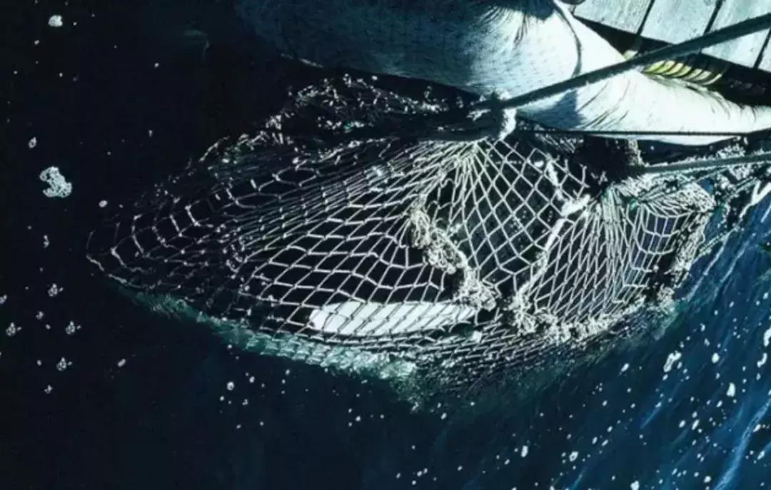 被囚34年取精，被迫亲手杀死爱子，最后只能挣扎着死去……