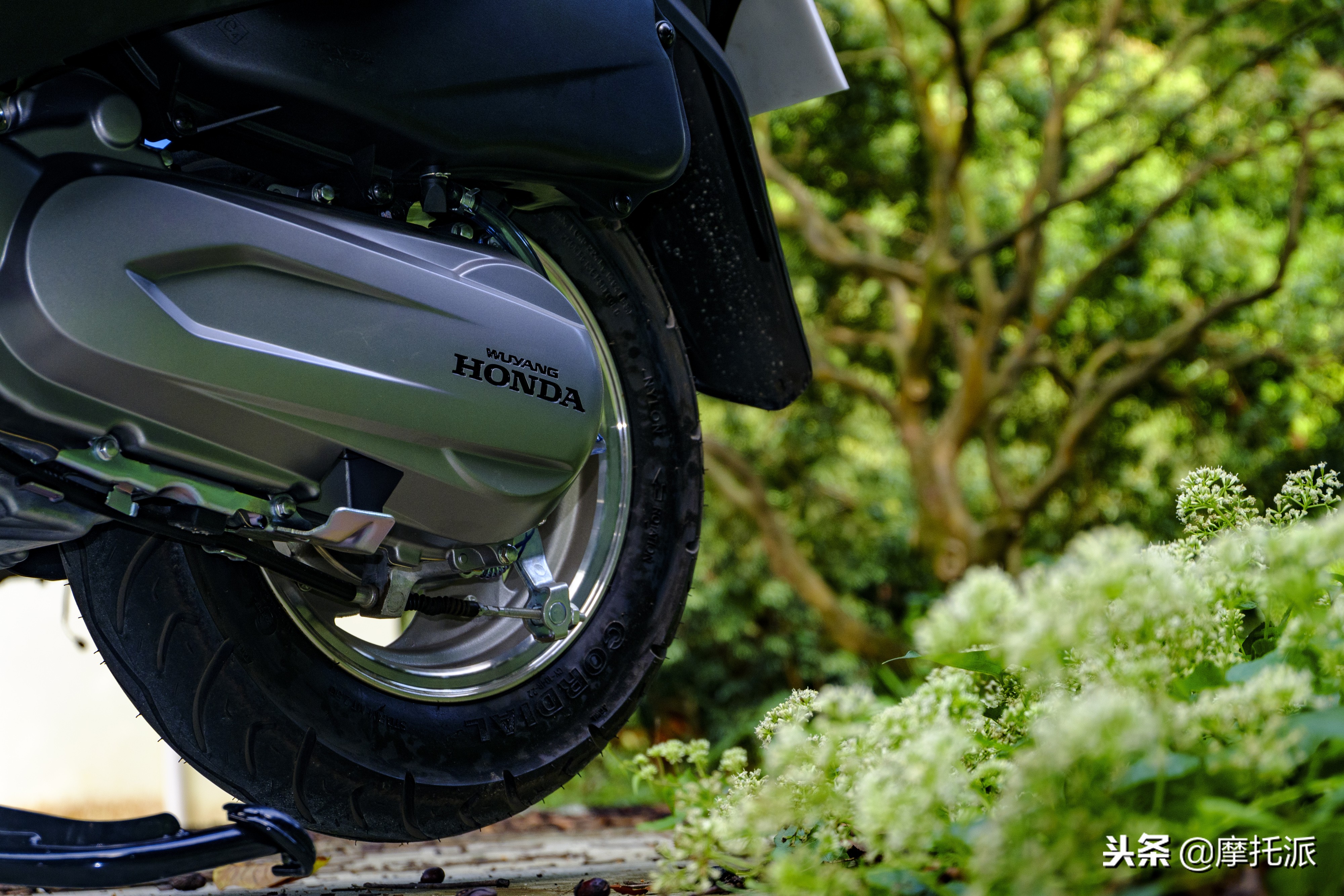 五羊本田御鲨125优点和缺点,2019年五羊本田喜鲨125价格