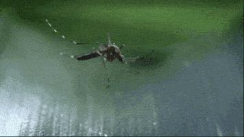 什么蚊香驱蚊效果最好又安全,驱蚊什么靠谱