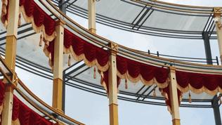 双流空港花田最新进展,双流空港花田开放了吗最新回复