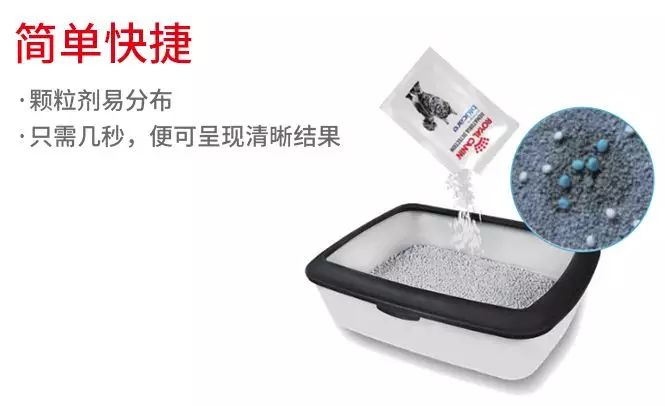 猫咪尿结石的症状有哪些,猫咪尿结石可以喂肾石通颗粒