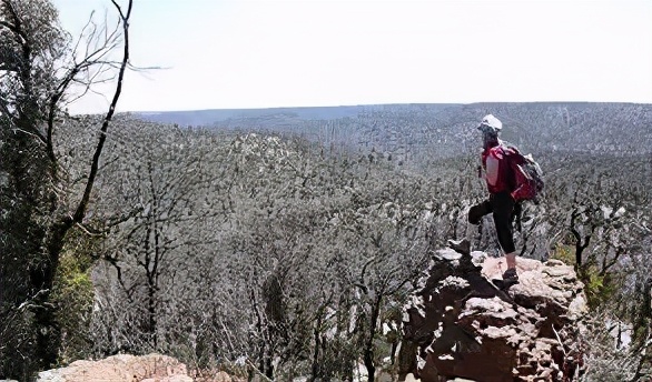 来了澳洲才知道，原来这些都是真的
