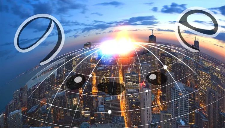 这只成都神兽包揽了多个全国第一，竟然还要被催婚？