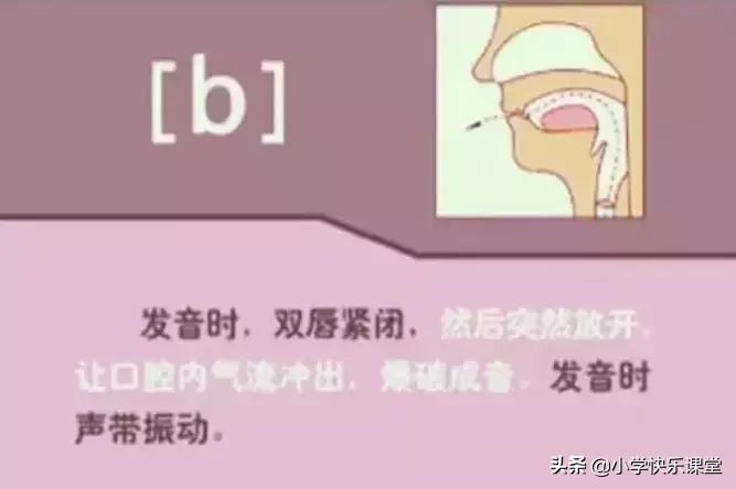 48个国际音标的发音口型视频图,英语48个音标发音口型视频