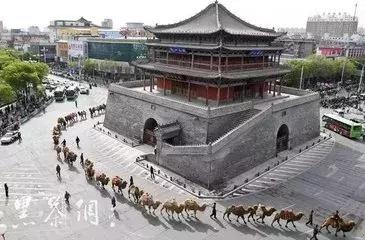 王晓飞书籍,王晓飞散文视频