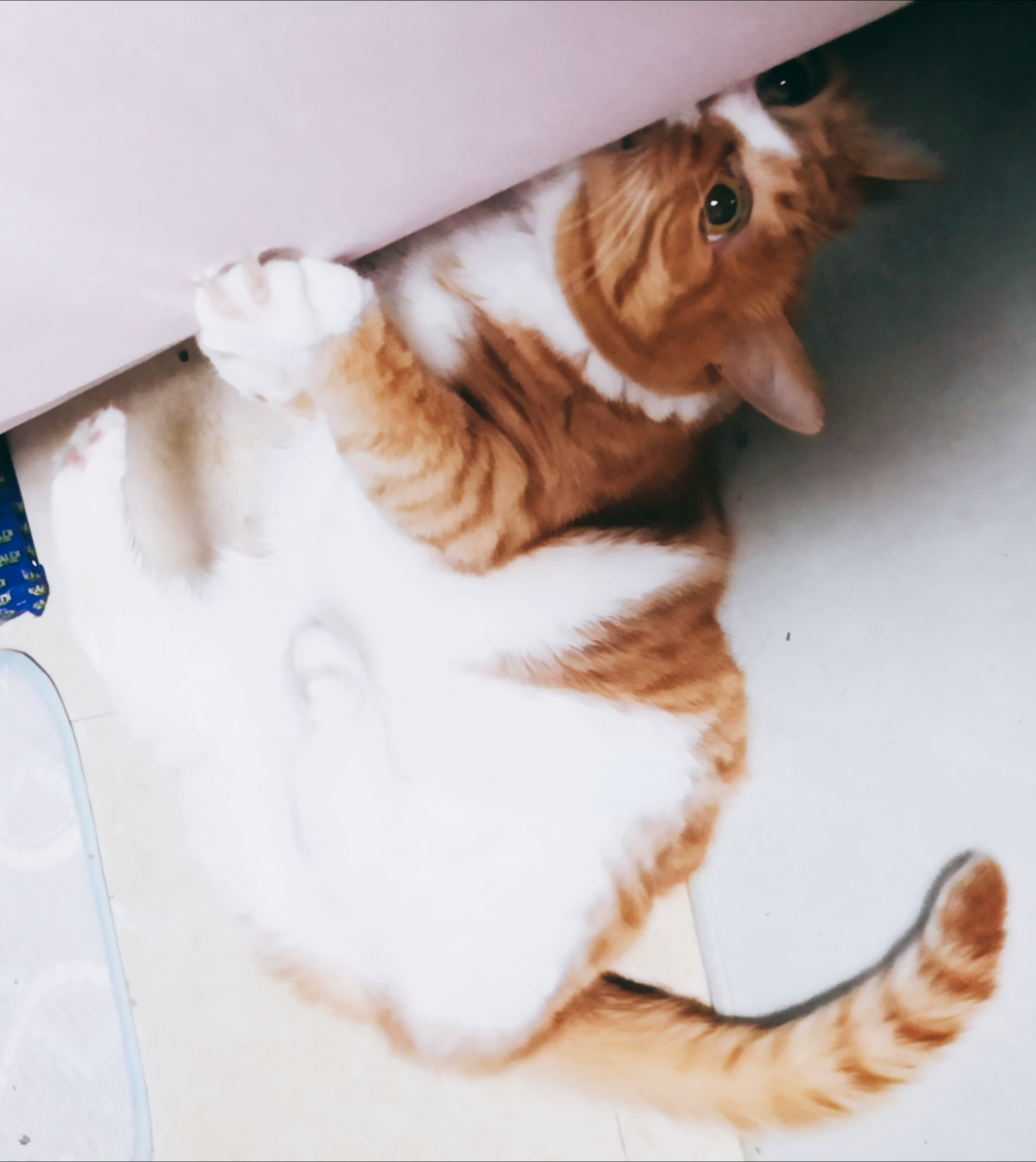 怎样处理家庭氛围的问题,家庭生活氛围怎么改善