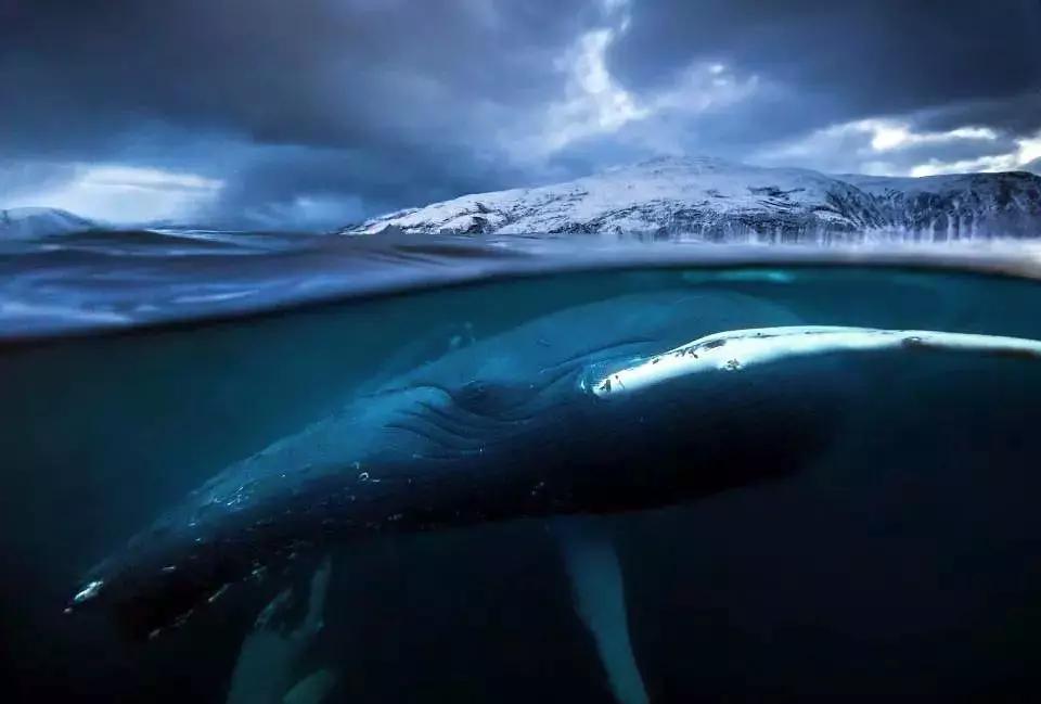 必看纪录片推荐建议收藏,推荐10部必看纪录片