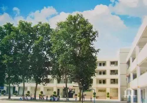 郑州教育资源对比,郑州市各个区的教育资源排名