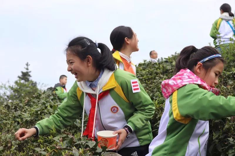 草长莺飞踏青季哪里好玩,草长莺飞春游