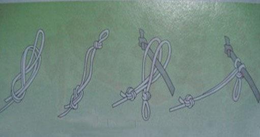 鱼线种类及线组的绑法图解,鱼线钓鱼的线组怎么绑