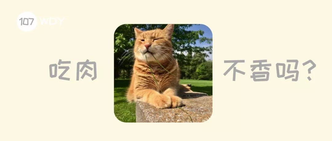 猫咪为啥光吃猫草根部不吃草,猫出去外面吃草还需要吃猫草吗