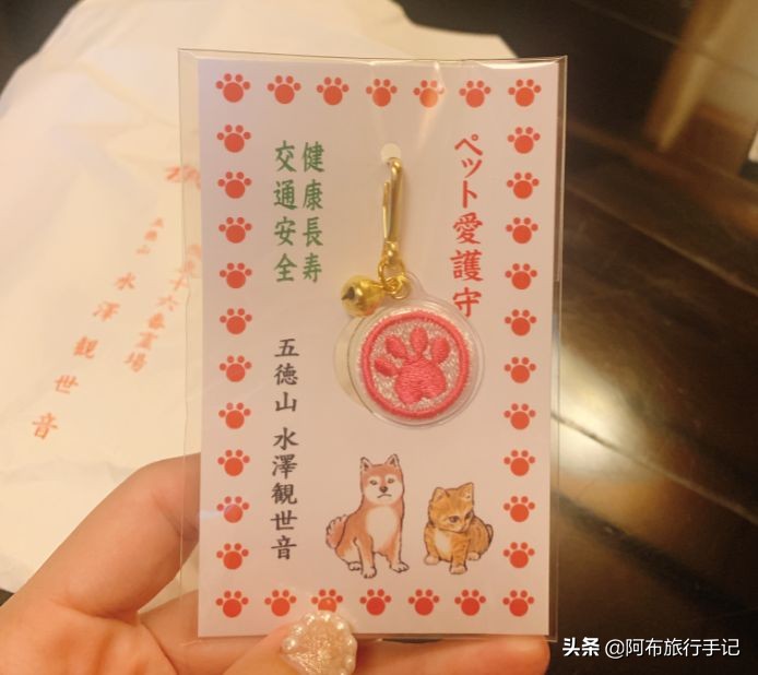 欢迎来到群马,一个没有秋名山车神,国际游客出游最好打车的地方