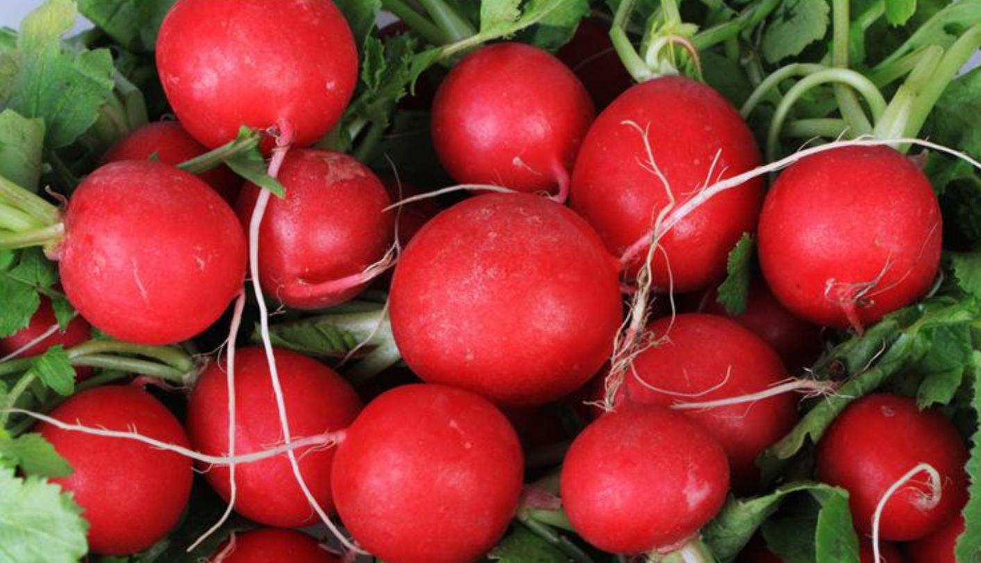 樱桃萝卜的最佳吃法,樱桃萝卜神仙腌制吃法