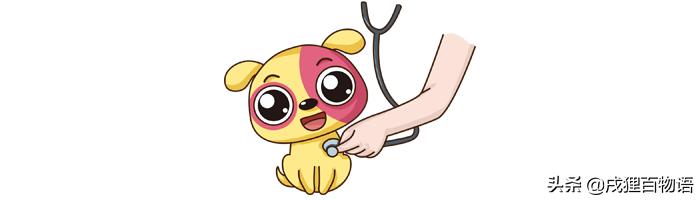 新犬到家不停叫喊怎么办,小犬刚来不睡觉怎么办