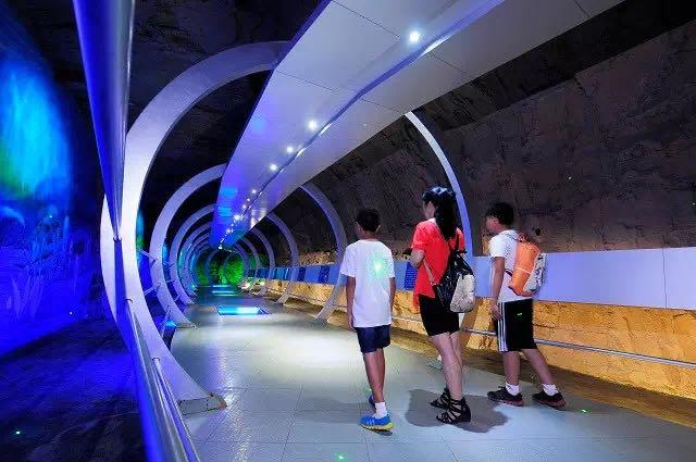 西峡旅游专列大全,西峡旅游专列新消息