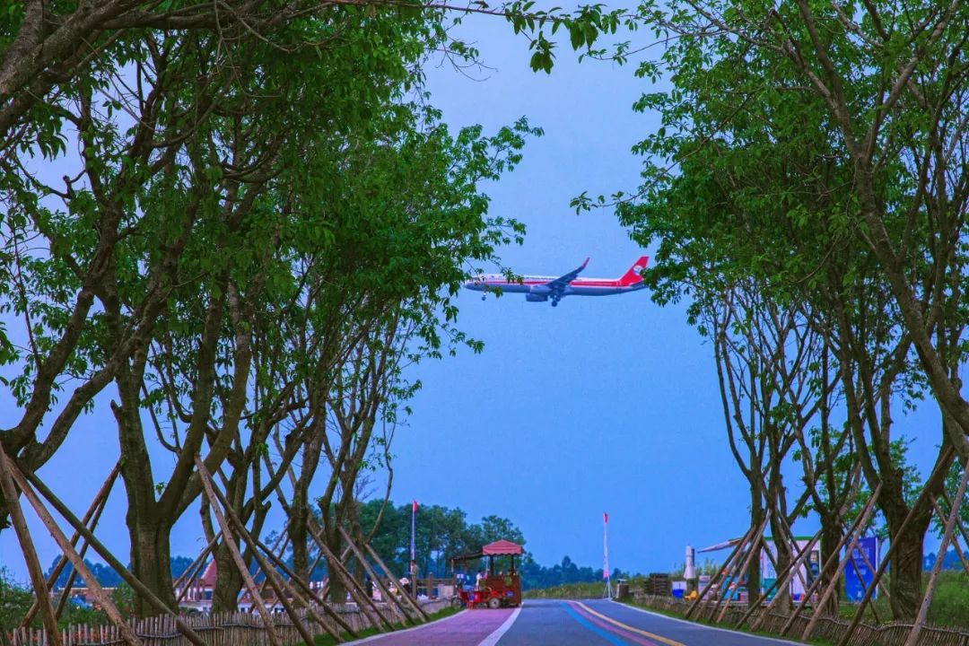 踏青打卡好去处双流空港公园,环城生态公园东片区
