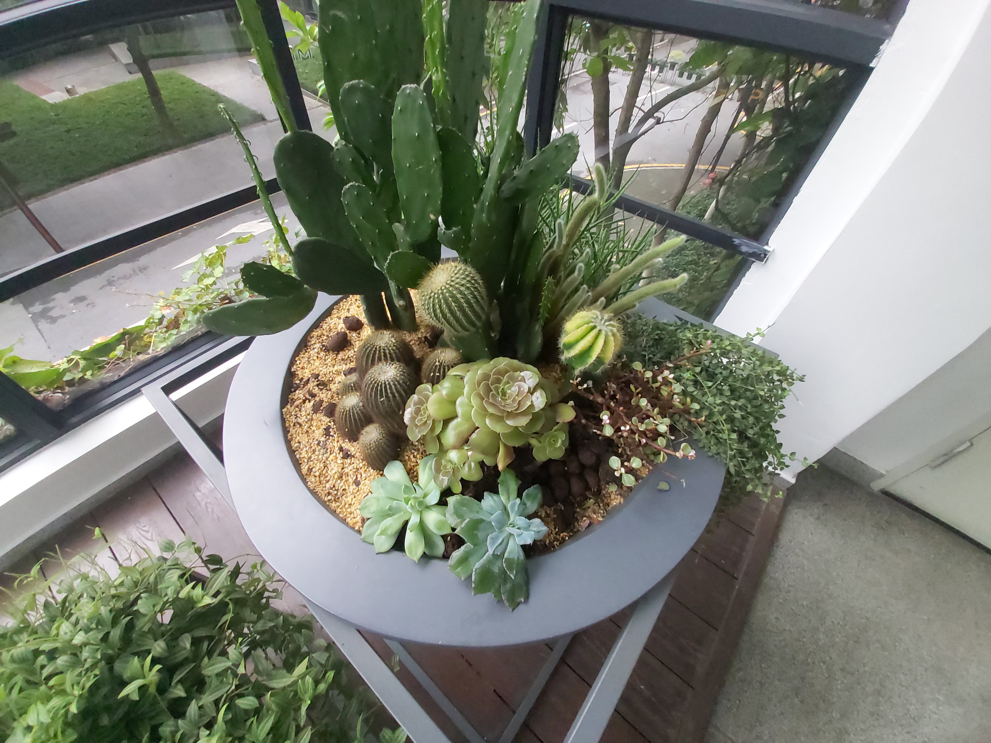 三星a60性价比,三星a607寸评测