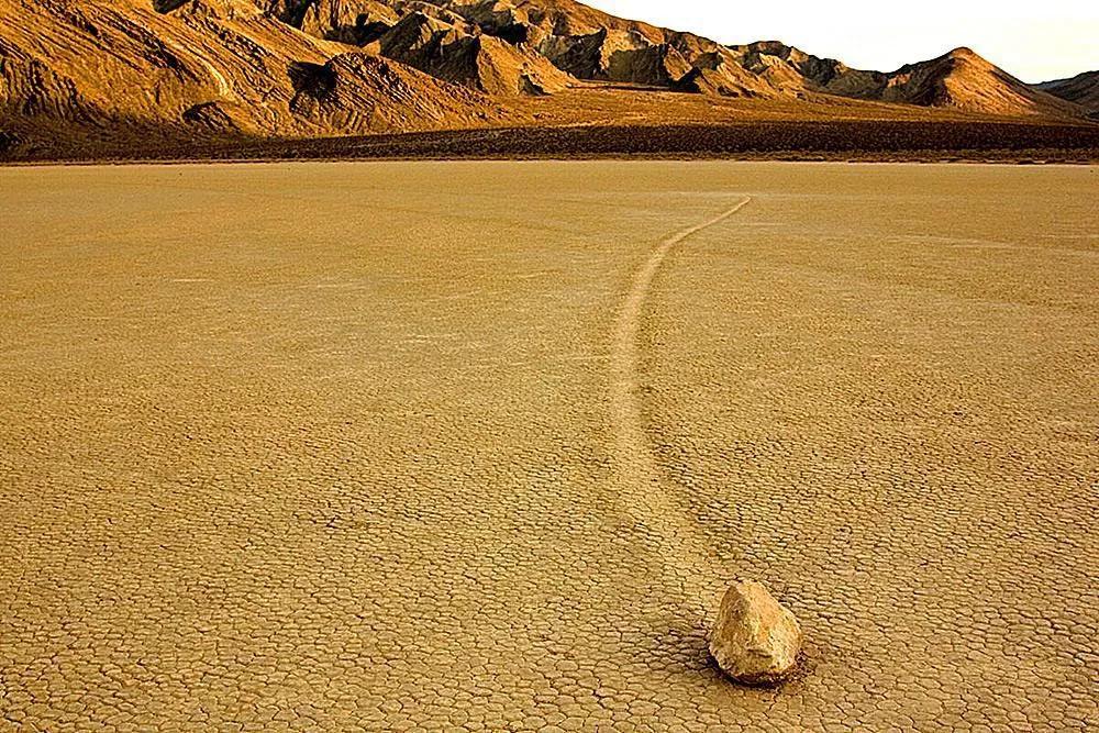 独存5万年仅剩38尾，号称沙漠独行者，魔鱂鱼的保护有多严格？