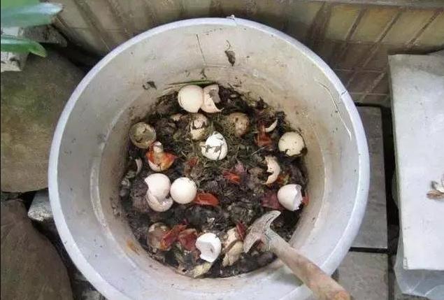 找点土加点料，找个袋子捂一捂，沤成花肥到了秋天就能用